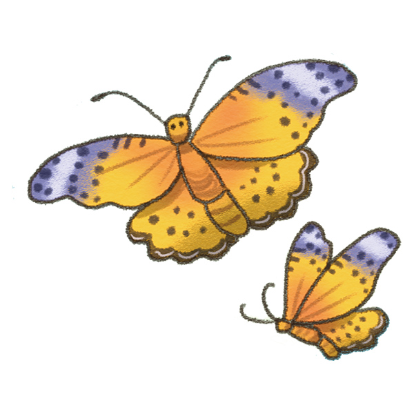 �x�W����